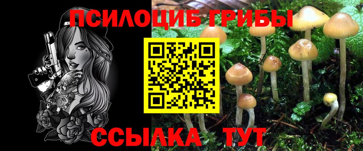 Галлюциногенные грибы Magic Shrooms Елизово