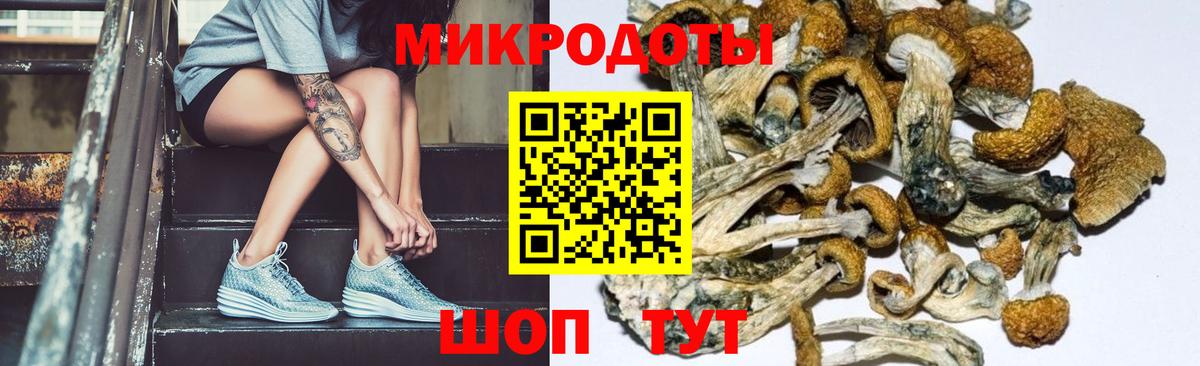 Псилоцибиновые грибы Psilocybe  Вход с VPN  Галлюциногенные грибы GOLDEN TEACHER  Елизово 