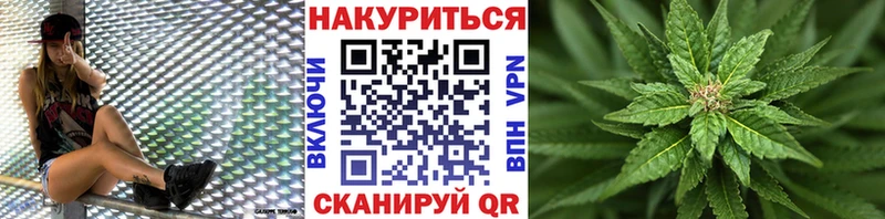 купить  сайты  Елизово  Бошки марихуана SATIVA & INDICA 